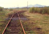 Alloa Yard looking west. South set of sidings with track leading to Alloa West behind camera. Access by kind permission of British Rail.<br><br>[Ewan Crawford //1988]