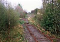 Alloa West Level Crossing seen from the lifted approach from the yard. Access by kind permission of British Rail.<br><br>[Ewan Crawford //1988]