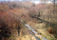 Carmyle looking east, Glasgow Central Railway platforms. The Rutherglen platforms were to the right. This is now buried under the M74 extension.<br><br>[Ewan Crawford //1988]