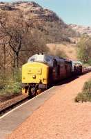 Southbound Fort William-Mossend freight hauled by 37 410 in glorious sunshine at Ardlui.<br><br>[Ewan Crawford //1990]