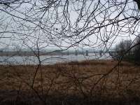 Alloa Swing Bridge seen from the south bank at Throsk. The photograph is taken from the trackbed of the line into the Bandeath Depot.<br><br>[Ewan Crawford //]