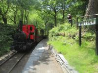 <h4><a href='/locations/D/Dolgoch_'>Dolgoch </a></h4><p><small><a href='/companies/T/Talyllyn_Railway'>Talyllyn Railway</a></small></p><p>After a brief lull, Dolgoch station bursts back into life as an afternoon train to Nant Gwernol arrives behind No.6 'Douglas' on 24th May 2016. This locomotive is smaller than others in the Talyllyn fleet and was constructed in 1918 by Andrew Barclay's for the Air Service Construction Corps. From 1921 to 1945 it ran on the RAF Railway at Calshot Spit (delightful name) at Southampton. In 1949, following a period of disuse, it was purchased by Abelson & Co. (Engineering) Ltd. which presented it to the Talyllyn Railway in 1953 and given the name 'Douglas'. It was overhauled in the early 1990s and fitted with a new boiler returning to service in 1995, since when it has been performing splendidly. 35/75</p><p>24/05/2016<br><small><a href='/contributors/David_Bosher'>David Bosher</a></small></p>