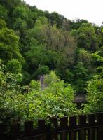 <h4><a href='/locations/T/Tintern_Tunnel'>Tintern Tunnel</a></h4><p><small><a href='/companies/W/Wye_Valley_Railway'>Wye Valley Railway</a></small></p><p>Looking south across the River Wye, over the missing bridge to the Tintern North tunnel portal. The fence marks the end of the ride-on narrow gauge railway. See image <a href='/img/72/326/index.html'>72326</a> of the South portal. 118/125</p><p>27/05/2019<br><small><a href='/contributors/Ken_Strachan'>Ken Strachan</a></small></p>