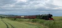 Whitemoss Level Crossing