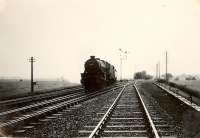 Up Special passing Guthrie Junction on a windy day. 5P 4.6.0 45497.<br><br>[G H Robin collection by courtesy of the Mitchell Library, Glasgow 15/08/1953]