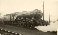 A3 Pacific 60076 <I>Galopin</I> at Darlington Shed in April 1951.<br><br>[G H Robin collection by courtesy of the Mitchell Library, Glasgow 13/04/1951]