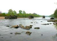 The remains of the Border Counties Railway bridge over the Tyne in May 2006 looking east along the river towards Hexham. The site of Border Counties Junction on the Newcastle - Carlisle line is off picture to the right.<br><br>[John Furnevel 07/05/2006]